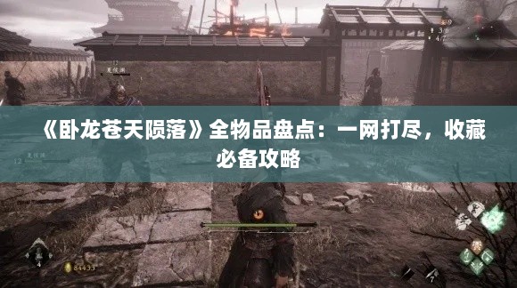 《卧龙苍天陨落》全物品盘点：一网打尽，收藏必备攻略