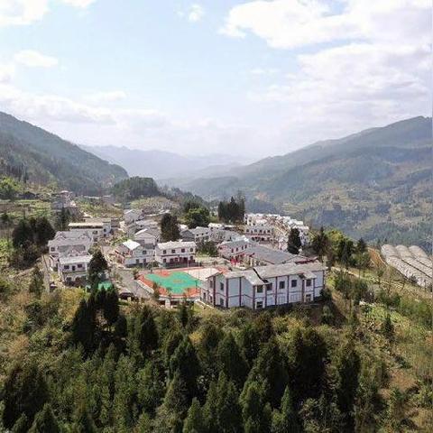 《绝区零》头号粉丝攻略揭秘：轻松通关头号粉丝委托