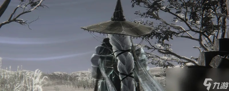 《艾尔登法环》结晶人隐士攻略：深度解析黑夜君临玩法