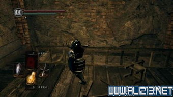 《合金装备3重制版》恐惧模式攻略：掌握高难度恐惧打法技巧