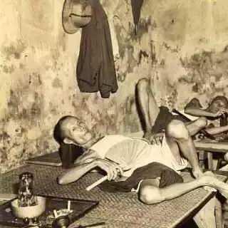 《丝之歌》玩家激增，探索游戏新境界！