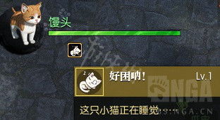 《逆水寒》养猫攻略：宠物系统详解与猫咪获取技巧