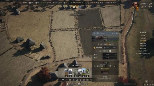 《庄园领主》新手攻略：快速崛起的领主之路