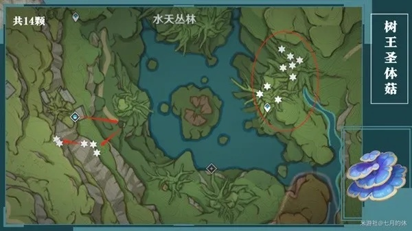 《原神》柯莱树王圣体菇速刷攻略，高效采集路线曝光