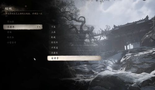 《黑神话悟空》浮屠界神秘道具全收集攻略揭秘