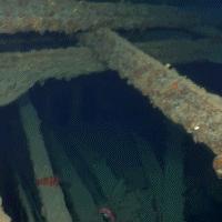 《戴夫潜水餐厅：揭秘水下美食经营之道》