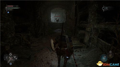 《堕落之主》全投掷物藏匿攻略，一网打尽！