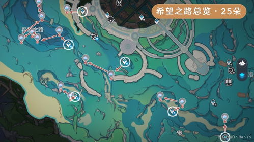 《原神》海露花采集攻略：希格雯突破必备材料速查