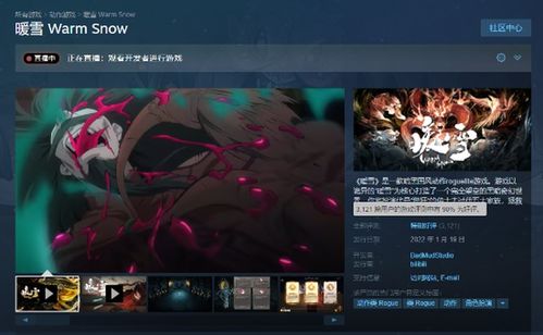 《暖雪特效流冰2BD搭配攻略：解锁冰封之美》