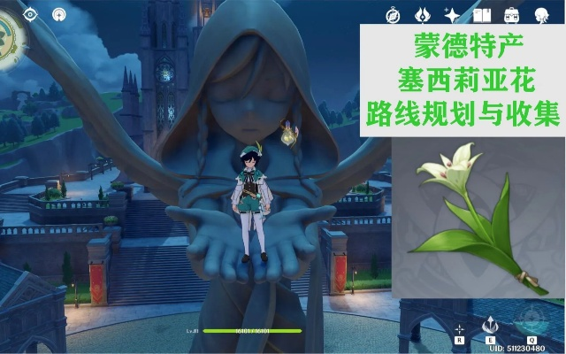 《原神》塞西莉亚花攻略：高效采集与购买秘境！