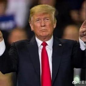 美国击剑选手跪地抗议被判离场