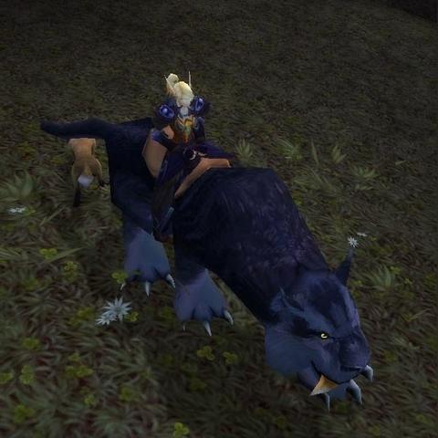 《灵魂面甲黑豹坐骑捕捉攻略：独家技巧揭秘》