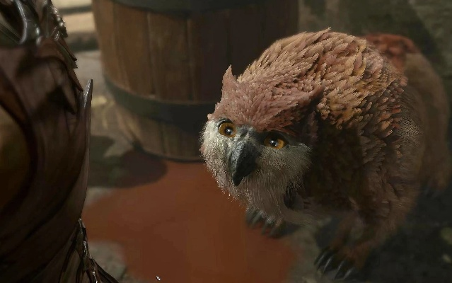 《博德之门3》枭熊：神秘森林中的强大猎手