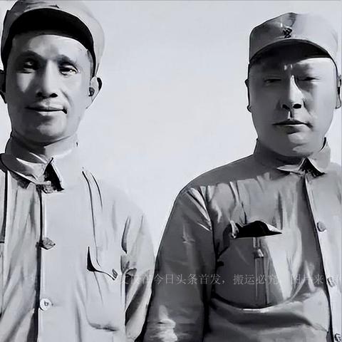 《暴行技能组合攻略：最强搭配大揭秘》