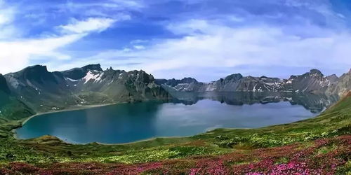 《心动小镇翠叶红颈凤蝶捕捉攻略》