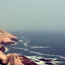 《猫猫钓游记》画面揭秘：高清钓游世界大赏