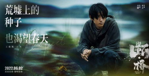 导演方励谈《断·桥》选王俊凯原因