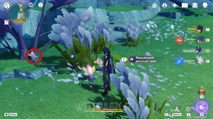 《原神》微光角菌高效采集攻略：隐藏地点大揭秘