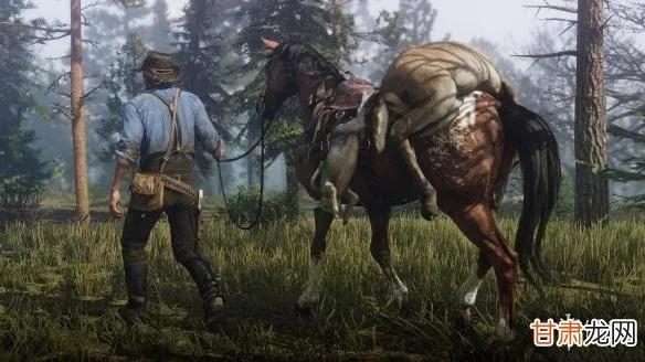 《大表哥1：揭秘荒野动物藏匿地，专家猎人挑战攻略全解析》