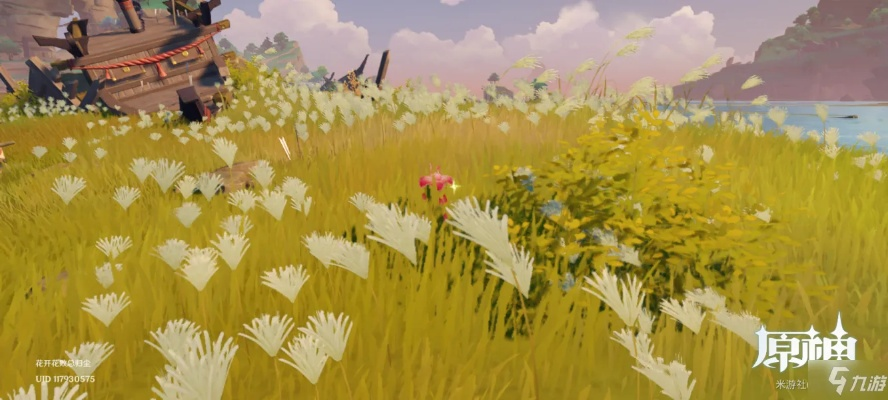 《原神4.0光影研学第六天》陆上景点拍照圣地大揭秘