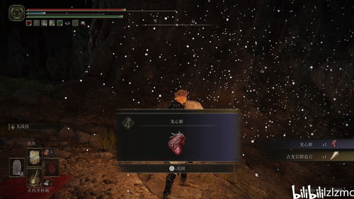 《艾尔登法环》古龙瑟涅桑克斯DLC攻略：黄金树之影全解析