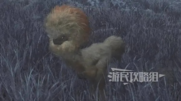 《怪物猎人荒野》箭羽龙藏身之地揭秘