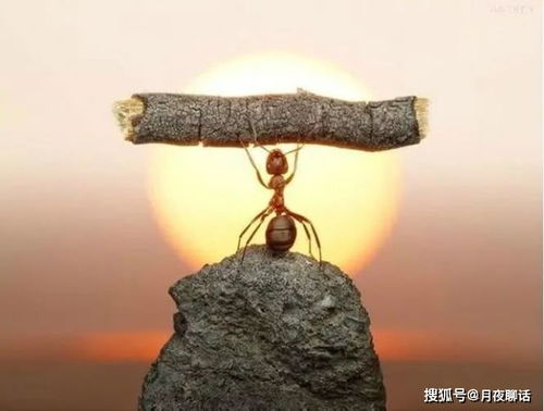 《黑神话悟空》心猿连战攻略：悟空战斗技巧大揭秘