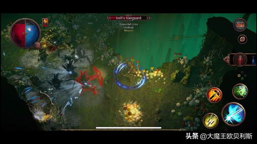 《流放之路2》官网揭秘：探索未知，开启冒险之旅