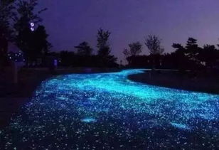 《剑星》拍照圣地：如梦如蝶美景攻略揭秘