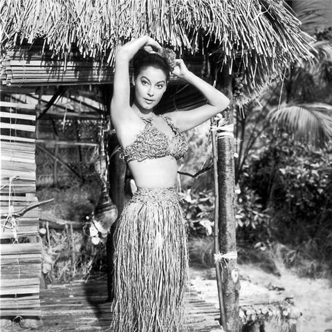 《好莱坞动物》全攻略：隐藏技巧解锁秘籍！