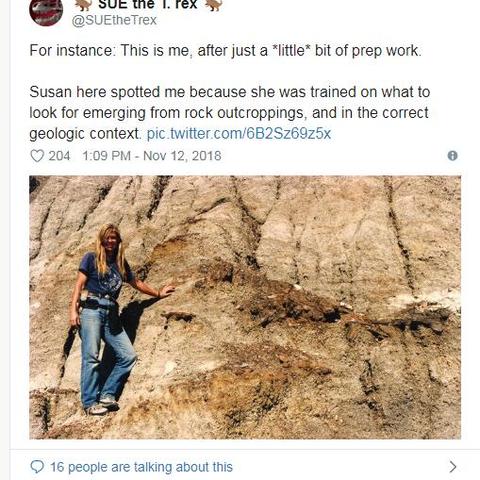 《荒野大镖客2》恐龙化石藏匿全揭秘攻略！