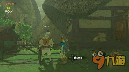 《塞尔达传说》全支线任务攻略：深度解析智慧再现