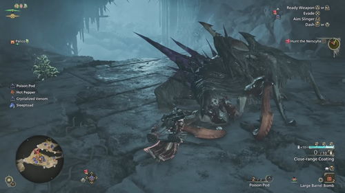 《怪物猎人荒野》稚影蜘蛛地图全解析！