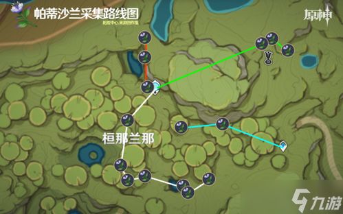 《原神》妮露突破材料速刷攻略，轻松收集！