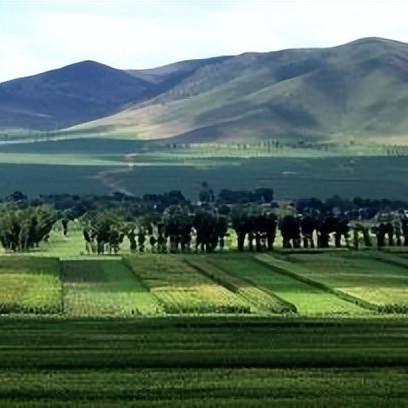 《鸣潮》东麓拼图解谜攻略：轻松解锁隐藏关卡