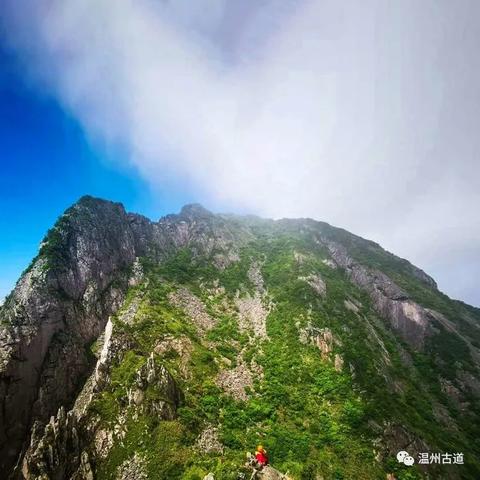 《吾之战争》：亲历战场，直面战争残酷真相