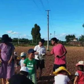 《纯粹农场17》PC独占大揭秘！探索全新农场冒险之旅