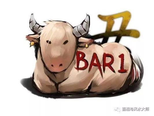 《十二影牛生肖无伤攻略：轻松取胜技巧揭秘》