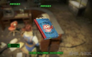 《辐射4》冒险指南：轻松防沉迷攻略揭秘