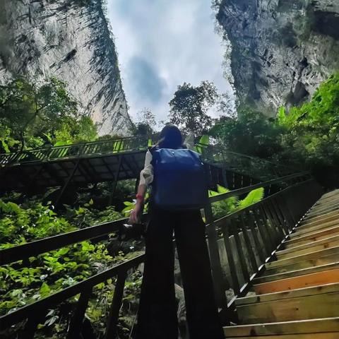荒野通关秘籍！怎样解锁宝藏内容?大揭秘！