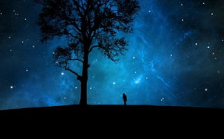 《星空霓虹城走私攻略：高效技巧揭秘》