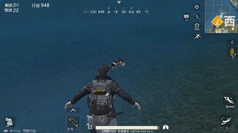 《荒野蹲坑流铳枪攻略》高效配装技巧分享