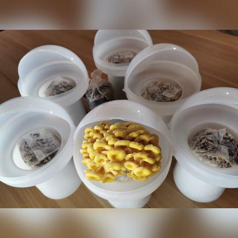 《幻塔》源器搭配攻略：最强组合曝光！