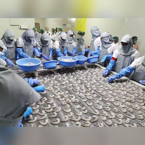 《揭秘！暴吵萌厨必备食材,轻松获取攻略大公开》