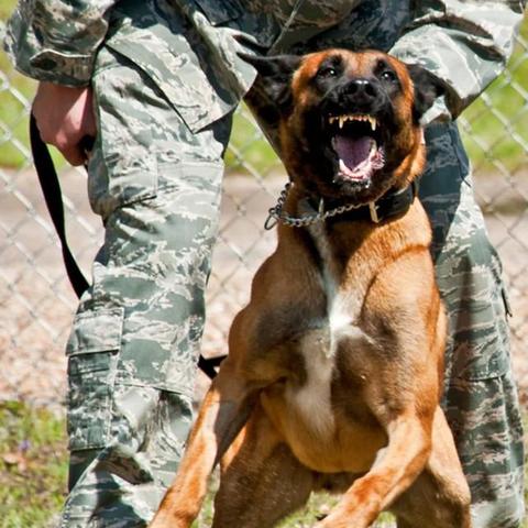 《绝区零》浮冰陷阱揭秘：第四天路线攻略与样本搜集技巧