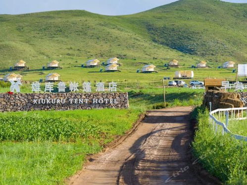 《古伦木基地攻略：草原营地挑战全解析》