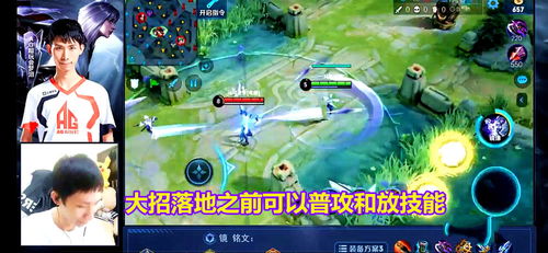 《镜之边缘》最强敌对兵种技能深度解析