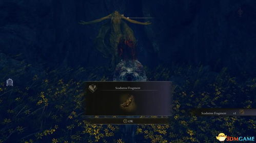 《艾尔登法环DLC》灵灰庇护获取攻略：隐藏位置全揭秘