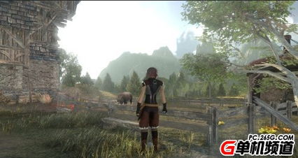 《永恒边缘》新开始：PC版全新启航，探索未知边界