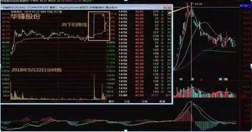 《风帆纪元》安德鲁速升100攻略：高效贡献特性技巧揭秘